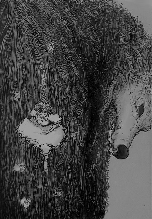 Slideshow Image 5