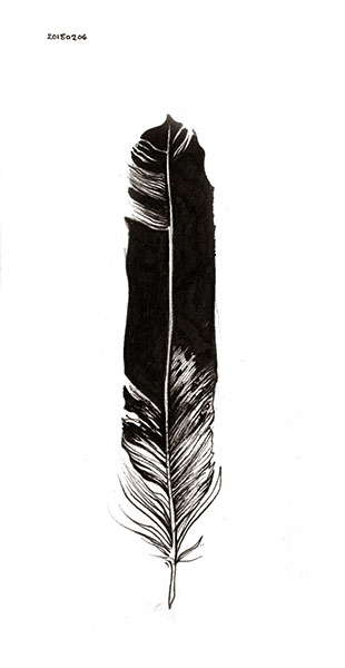 Aisling - feather study - art by Jeremiah LeBlanc 2015